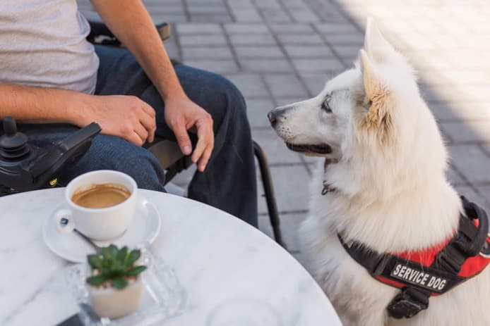 Can a Restaurant Refuse a Service Dog?